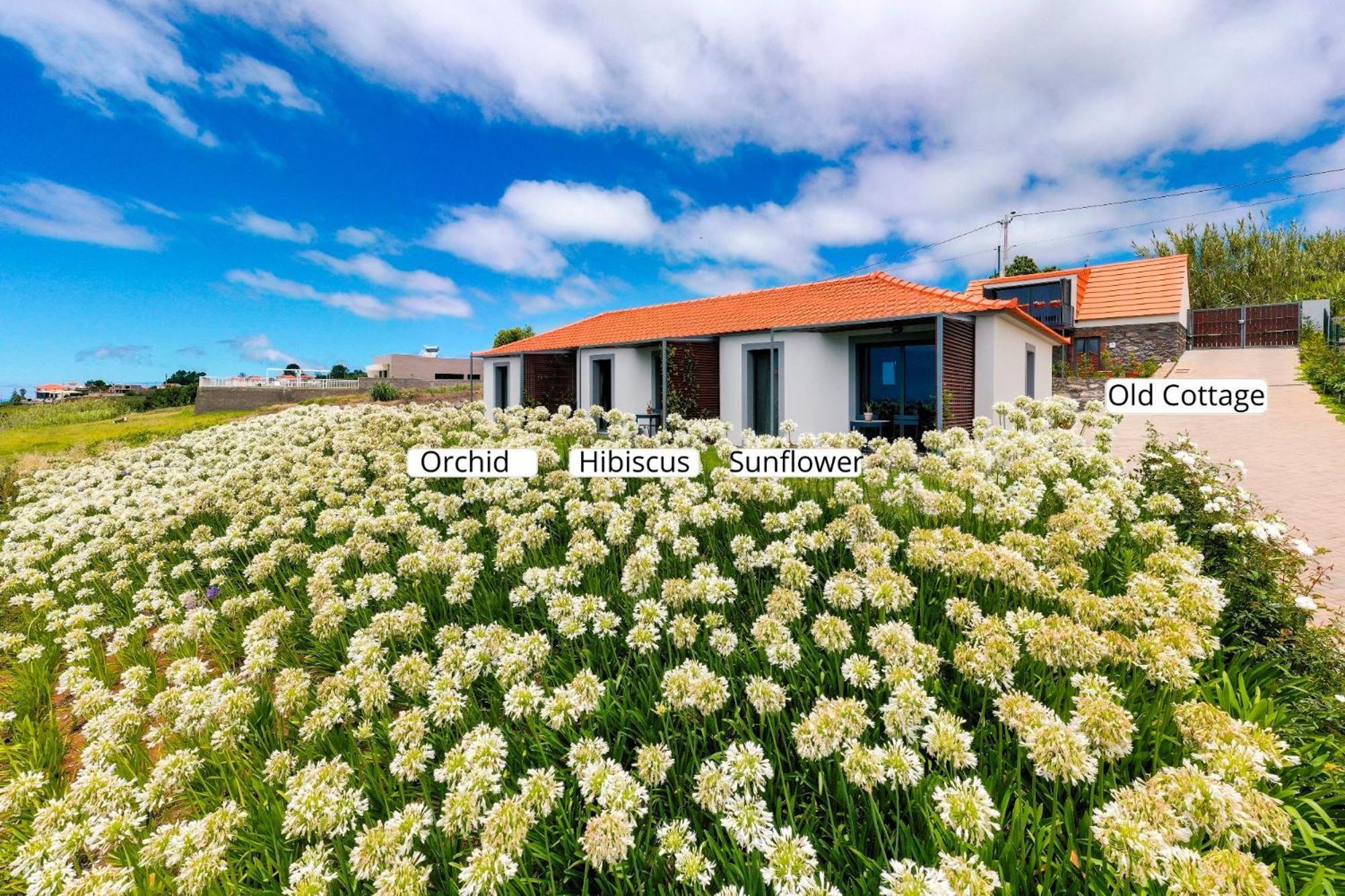 Апартаменты Ourmadeira - Quinta Inacia, Countryside Escape Кальета Экстерьер фото